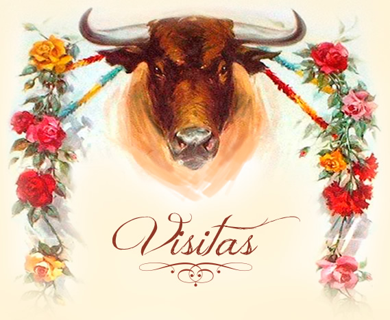visitas